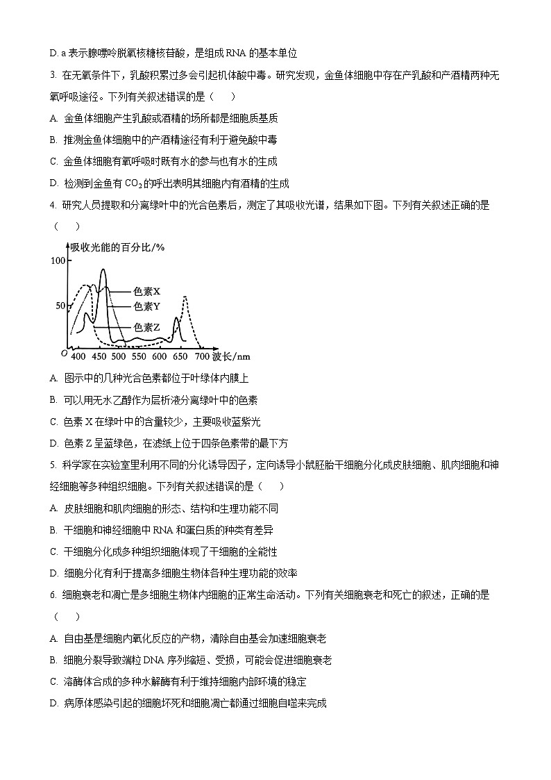 海南省部分学校2023-2024学年高一下学期7月期末考试生物试题(Word版附解析)第2页