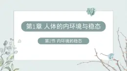 1.2内环境的稳态保障正常生命活动（教学课件）——高中生物学浙科版（2019）选择性必修一