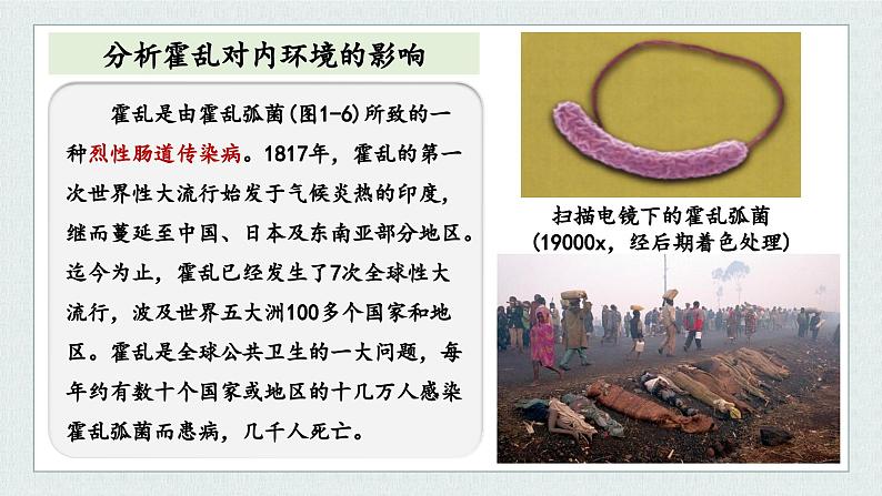 1.2内环境的稳态保障正常生命活动(教学课件)——高中生物学浙科版(2019)选择性必修一第3页