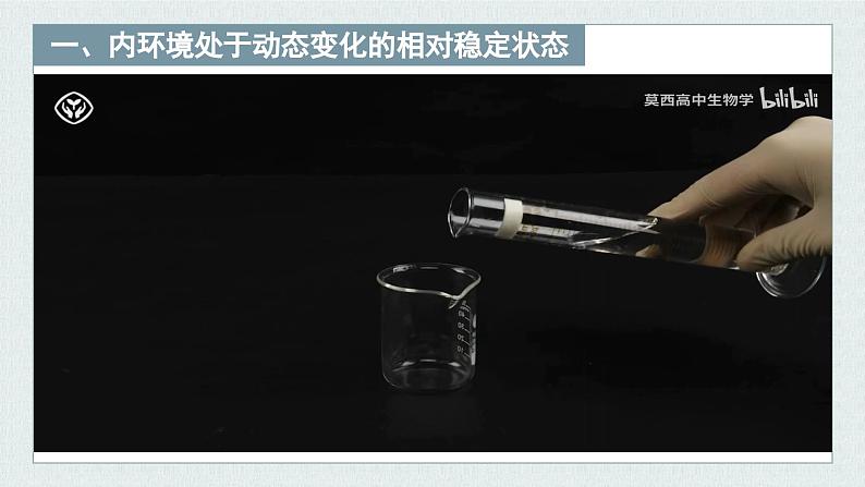 1.2内环境的稳态保障正常生命活动(教学课件)——高中生物学浙科版(2019)选择性必修一第6页