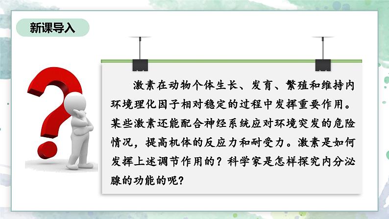 3.3 激素调节身体多种机能(教学课件)——高中生物学浙科版(2019)选择性必修一第3页