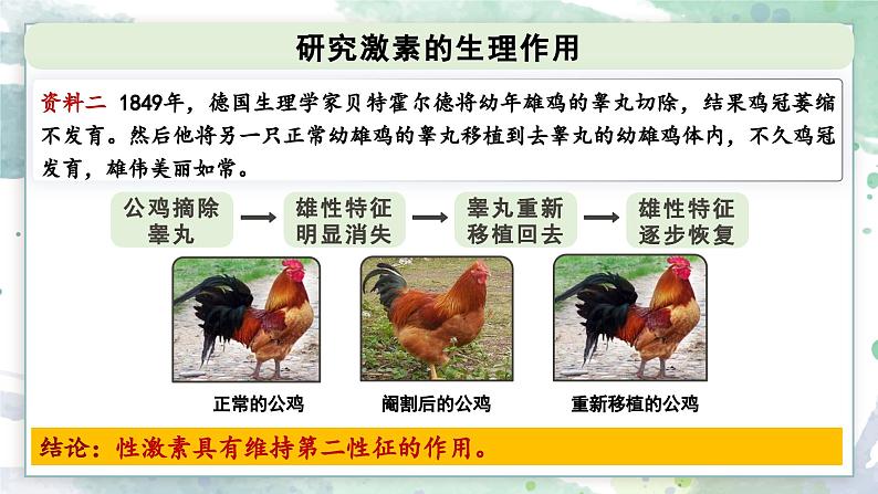 3.3 激素调节身体多种机能(教学课件)——高中生物学浙科版(2019)选择性必修一第5页
