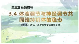 3.4体液调节与神经调节共同维持机体的稳态（教学课件）——高中生物学浙科版（2019）选择性必修一