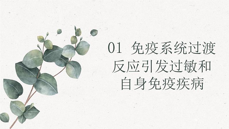 4.4免疫功能异常引发疾病(教学课件)——高中生物学浙科版(2019)选择性必修一第5页