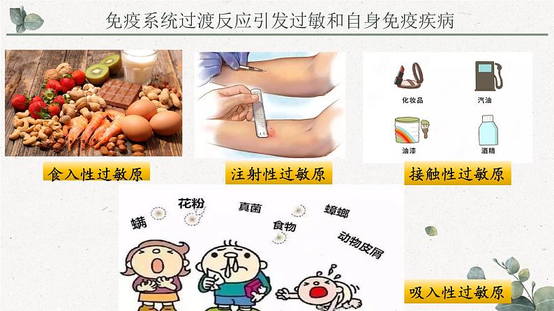 4.4免疫功能异常引发疾病(教学课件)——高中生物学浙科版(2019)选择性必修一第7页