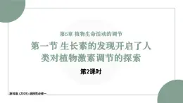 5.1生长素的发现开启了人类对植物激素调节的探索（2）（教学课件）——高中生物学浙科版（2019）选择性必修一