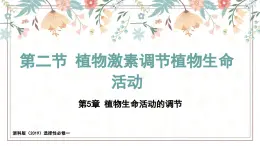 5.2植物激素调节植物生命活动（教学课件）——高中生物学浙科版（2019）选择性必修一