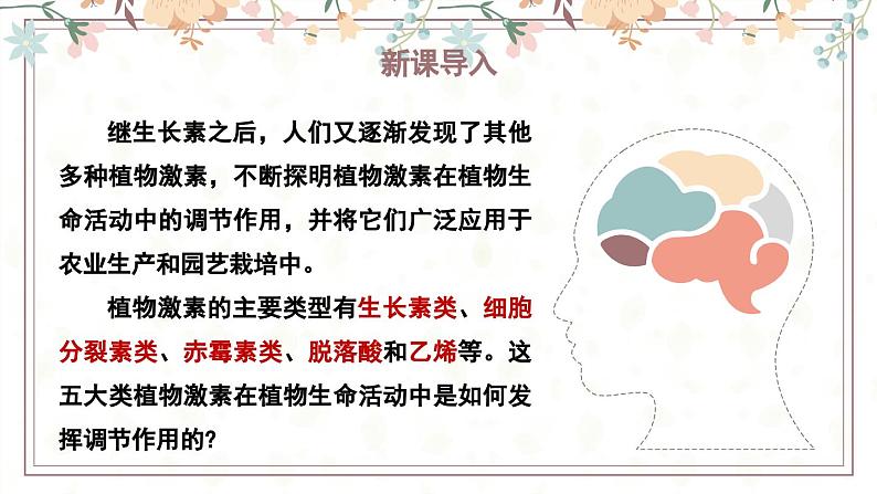 5.2植物激素调节植物生命活动(教学课件)——高中生物学浙科版(2019)选择性必修一第3页