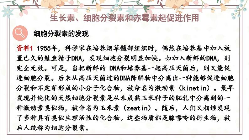 5.2植物激素调节植物生命活动(教学课件)——高中生物学浙科版(2019)选择性必修一第5页