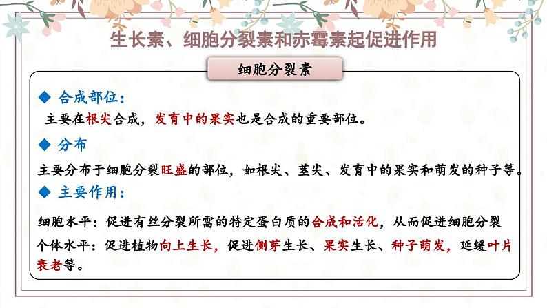 5.2植物激素调节植物生命活动(教学课件)——高中生物学浙科版(2019)选择性必修一第6页