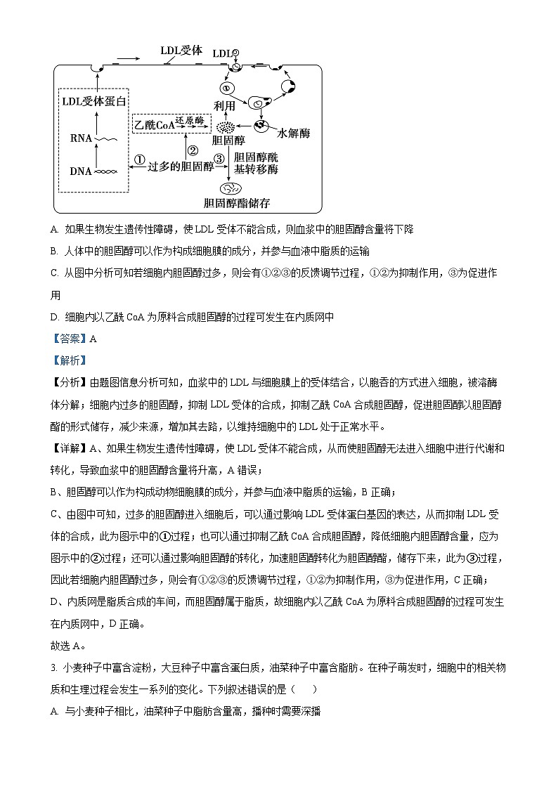湖北省荆州市沙市区湖北省沙市中学2023-2024学年高三下学期7月月考生物试题(解析版)第2页