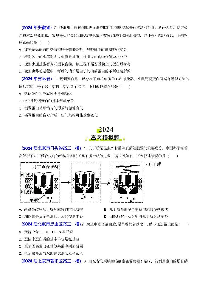 专题01 细胞的分子组成-2024年高考真题和模拟题生物分类汇编(含解析)第2页