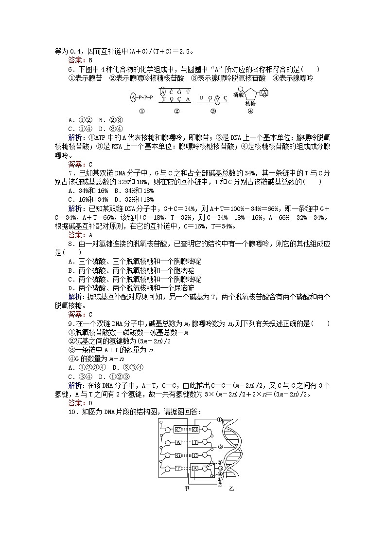 人教版必修2高中生物课后分层检测案10DNA分子的结构【含解析】02