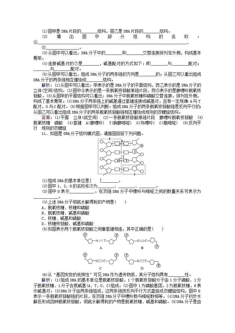 人教版必修2高中生物课后分层检测案10DNA分子的结构【含解析】03