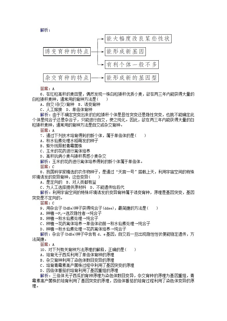 人教版必修2高中生物課后分層檢測(cè)案17雜交育種與誘變育種含解析第2頁(yè)