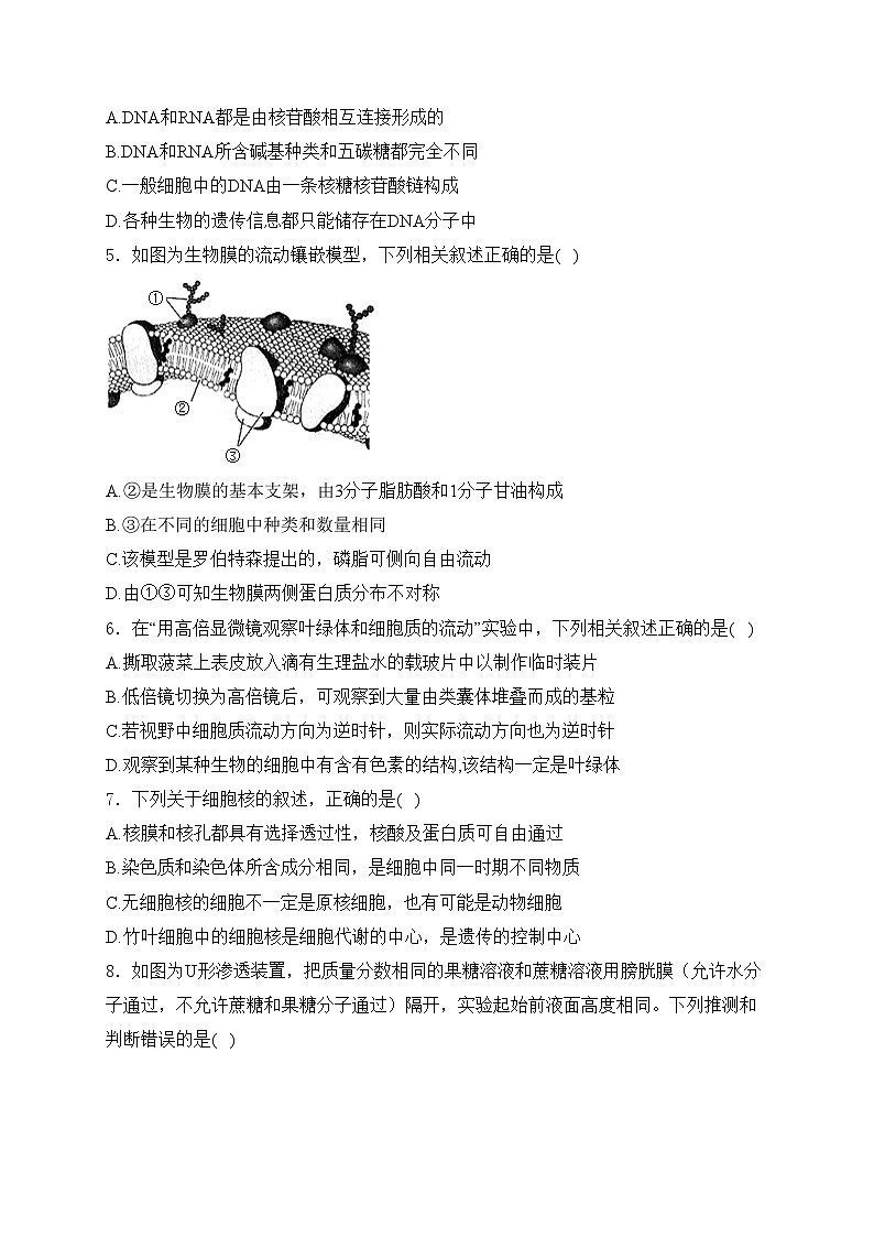 江西省部分学校2023-2024学年高一上学期1月期末教学质量检测生物试卷(含答案)02
