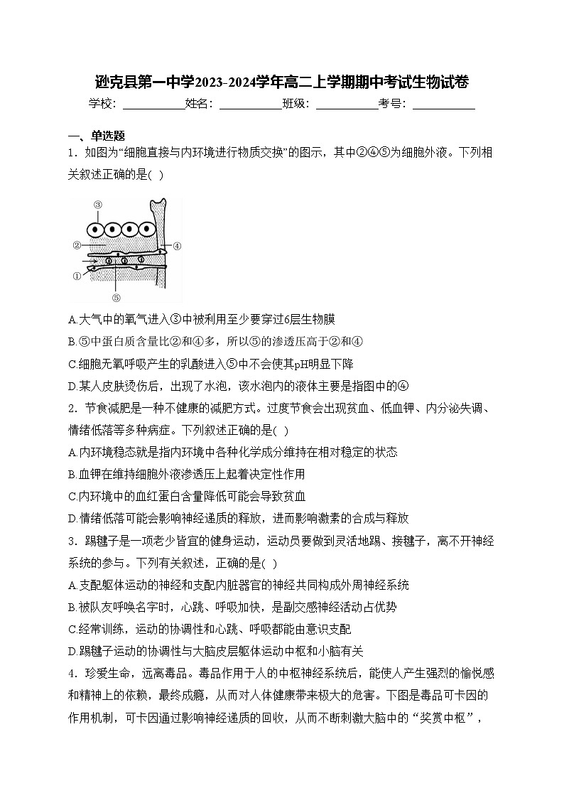逊克县第一中学2023-2024学年高二上学期期中考试生物试卷(含答案)01