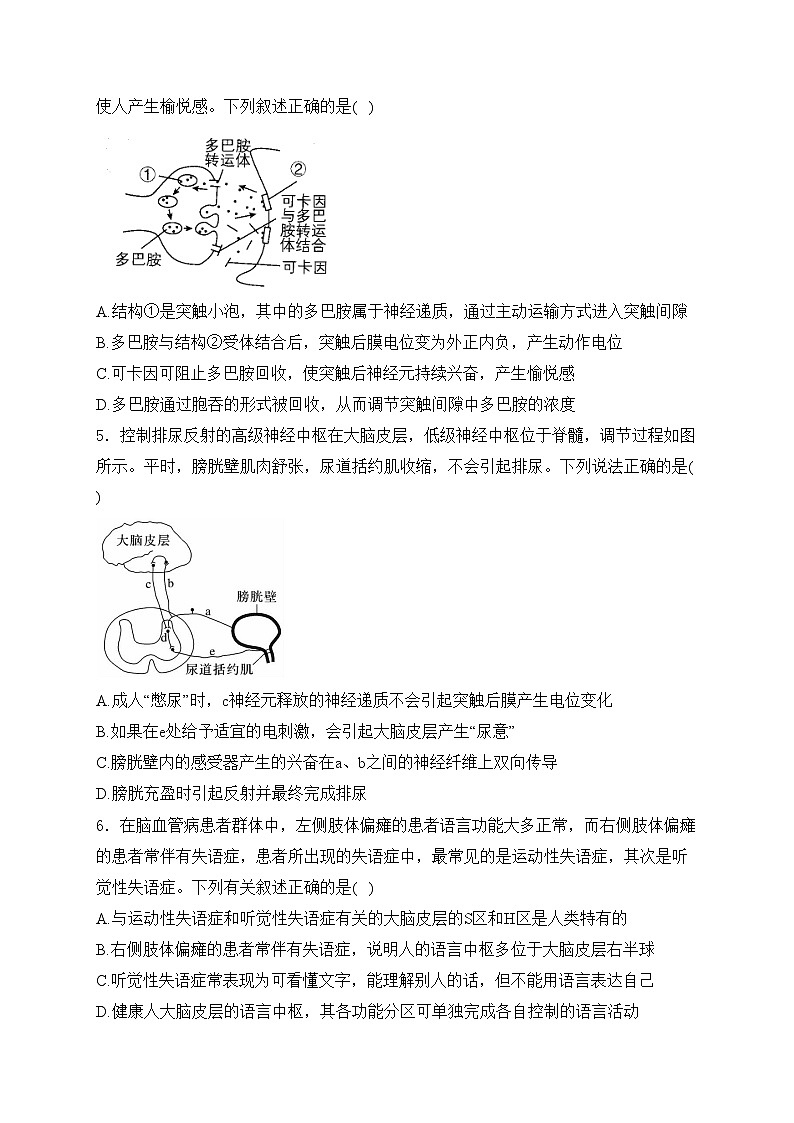 逊克县第一中学2023-2024学年高二上学期期中考试生物试卷(含答案)02