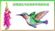 高中生物人教版 (2019)必修2《遗传与进化》第4节 协同进化与生物多样性的形成课文配套课件ppt
