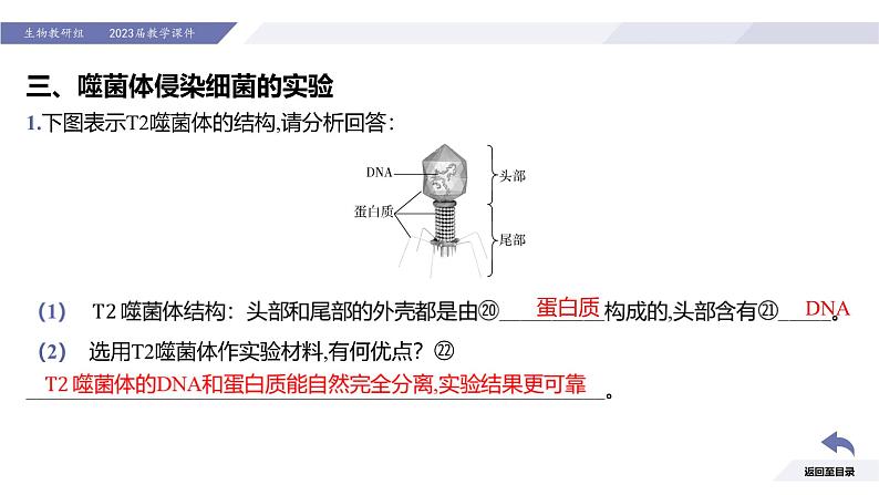 高中生物人教版2019必修2遗传与进化3-1DNA是主要的遗传物质精品课件3第8页