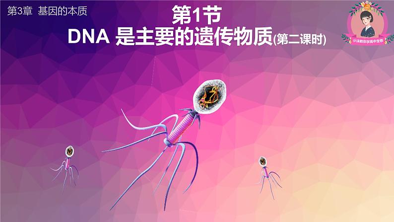 高中生物人教版2019必修2遗传与进化3-1DNA是主要的遗传物质(第二课时) 课件01
