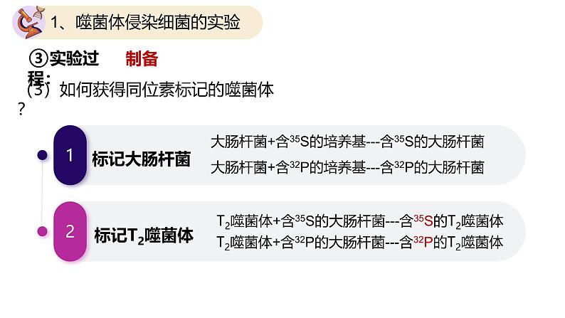 高中生物人教版2019必修2遗传与进化3-1DNA是主要的遗传物质(第二课时) 课件08