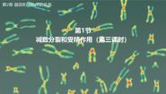 生物必修2《遗传与进化》二 受精作用评课ppt课件