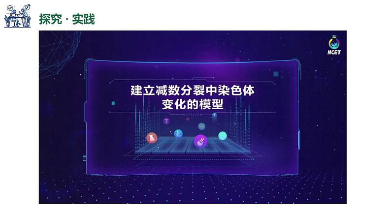 高中生物人教版2019必修2遗传与进化2-1减数分裂和受精作用(第三课时)精品课件第3页