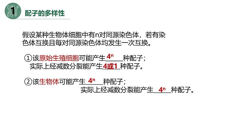 高中生物人教版2019必修2遗传与进化2-1减数分裂和受精作用(第三课时)精品课件第7页