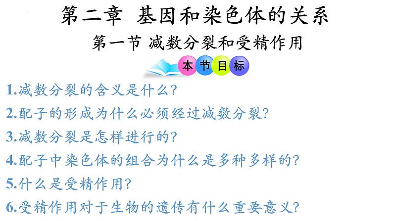高中生物人教版2019必修2遗传与进化2-1减数分裂和受精作用(第2课时)精品课件第1页