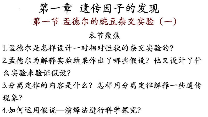 高中生物人教版2019必修2遗传与进化1-1孟德尔的豌豆杂交实验(一)精品课件1第2页