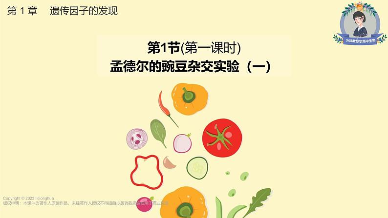 高中生物人教版2019必修2遗传与进化1-1孟德尔的豌豆杂交实验(一)(第一课时)精品课件第1页