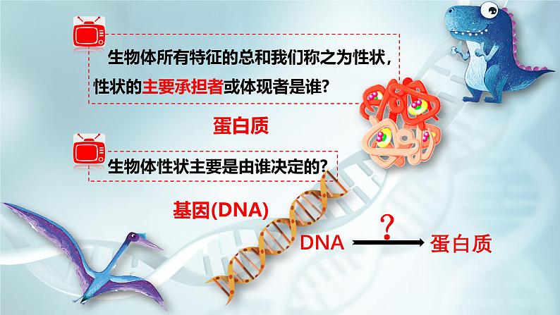 高中生物人教版2019必修2遗传与进化4-1DNA指导蛋白质的合成 课件05