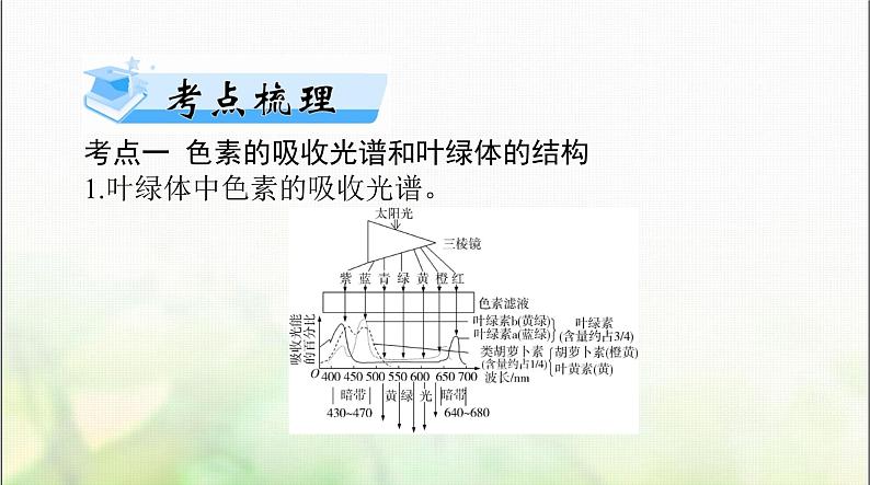 高考生物一轮复习必修1第5章第4节光合作用与能量转化课件02
