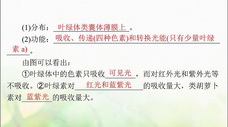 高考生物一轮复习必修1第5章第4节光合作用与能量转化课件03