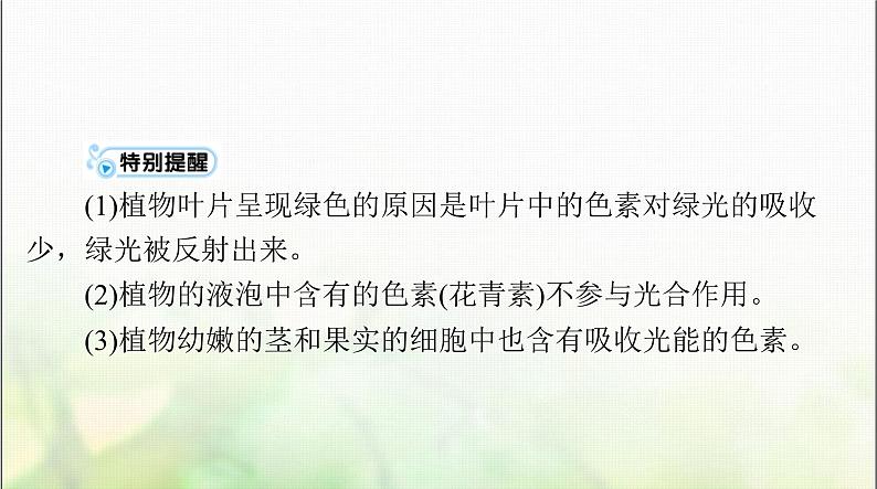 高考生物一轮复习必修1第5章第4节光合作用与能量转化课件04