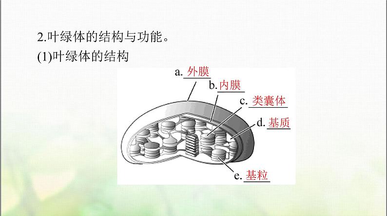 高考生物一轮复习必修1第5章第4节光合作用与能量转化课件05