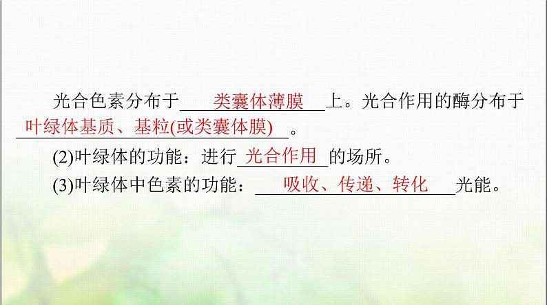 高考生物一轮复习必修1第5章第4节光合作用与能量转化课件06