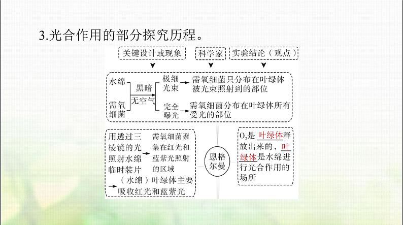 高考生物一轮复习必修1第5章第4节光合作用与能量转化课件07