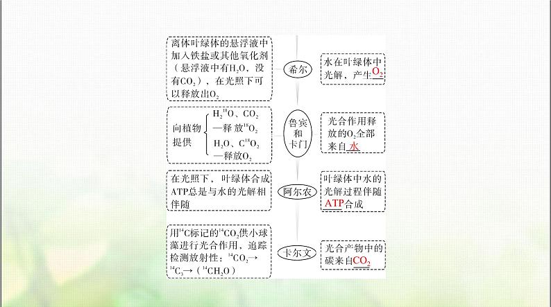 高考生物一轮复习必修1第5章第4节光合作用与能量转化课件08