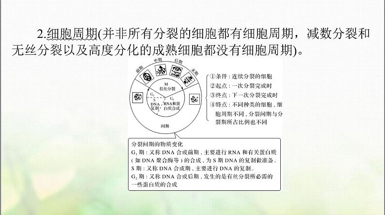 高考生物一轮复习必修1第6章第1节细胞的增殖课件第5页