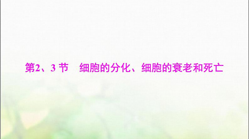 高考生物一轮复习必修1第6章第2、3节细胞的分化、细胞的衰老和死亡课件第1页