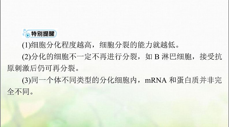 高考生物一轮复习必修1第6章第2、3节细胞的分化、细胞的衰老和死亡课件第6页