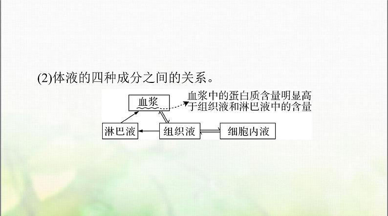 高考生物一轮复习选择性必修1第1章人体的内环境与稳态课件第4页