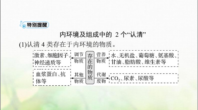 高考生物一轮复习选择性必修1第1章人体的内环境与稳态课件第7页
