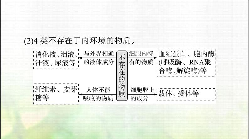 高考生物一轮复习选择性必修1第1章人体的内环境与稳态课件第8页