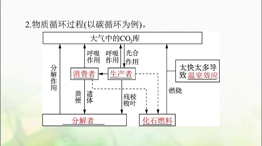 高考生物一輪復習選擇性必修2第3章第3、4、5節(jié)生態(tài)系統(tǒng)的物質循環(huán)、生態(tài)系統(tǒng)的信息傳遞、生態(tài)系統(tǒng)的穩(wěn)定性課件第4頁