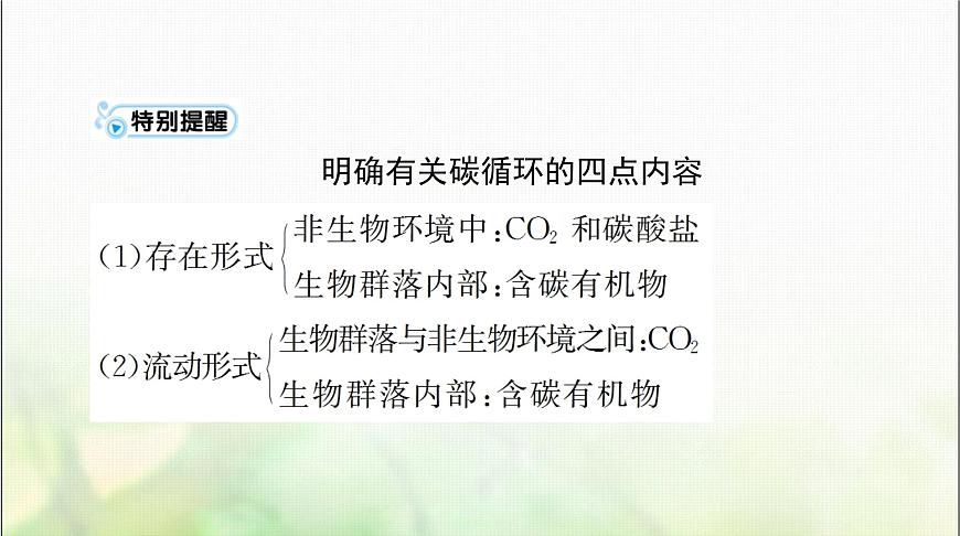 高考生物一輪復習選擇性必修2第3章第3、4、5節(jié)生態(tài)系統(tǒng)的物質循環(huán)、生態(tài)系統(tǒng)的信息傳遞、生態(tài)系統(tǒng)的穩(wěn)定性課件第5頁