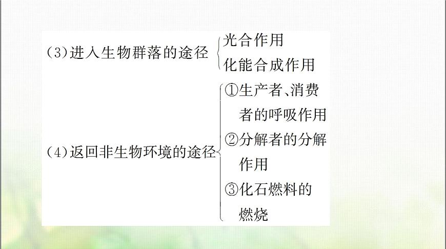 高考生物一輪復習選擇性必修2第3章第3、4、5節(jié)生態(tài)系統(tǒng)的物質循環(huán)、生態(tài)系統(tǒng)的信息傳遞、生態(tài)系統(tǒng)的穩(wěn)定性課件第6頁