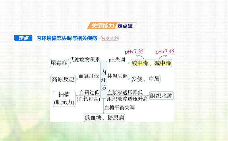 浙科版高中生物选择性必修1稳态与调节第1章内环境与稳态第2节内环境的稳态保障正常生命活动课件第6页